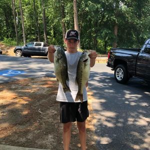 Meet your Posher, Tanner